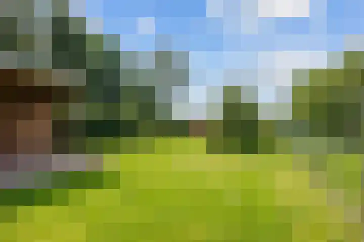 Stationsweg 72 Bedum thumbnail 61