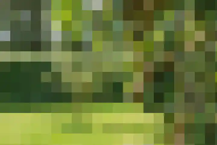 Stationsweg 72 Bedum thumbnail 62
