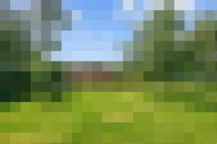 Stationsweg 72 Bedum thumbnail 63