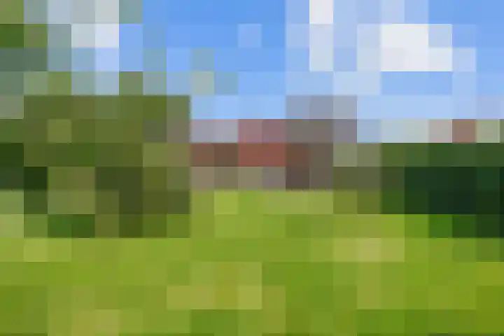 Stationsweg 72 Bedum thumbnail 66