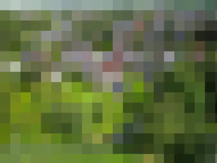 Stationsweg 72 Bedum thumbnail 7