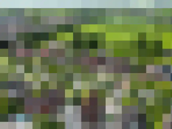 Stationsweg 72 Bedum thumbnail 8