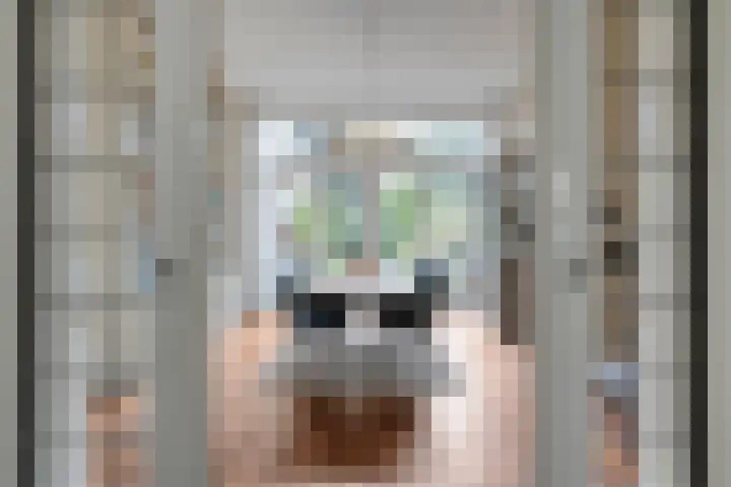 Stationsweg 8 Meppel thumbnail 23