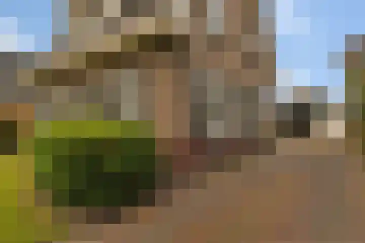 Stationsweg 9 Haarle thumbnail 29