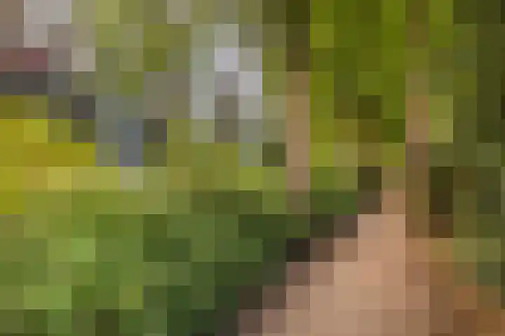Stationsweg 92 113 Ede thumbnail 29