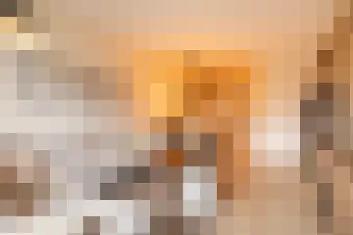 Stationsweg 92 419 Ede thumbnail 12
