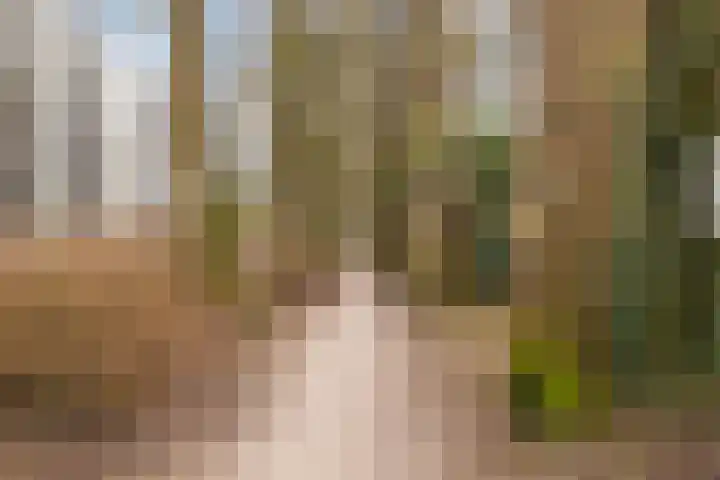 Stationsweg 92 419 Ede thumbnail 31