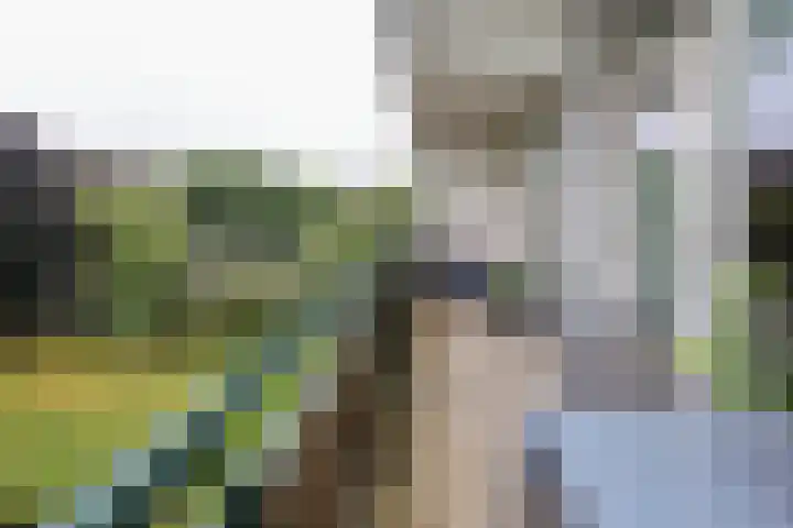 Stationsweg 92 519 Ede thumbnail 19