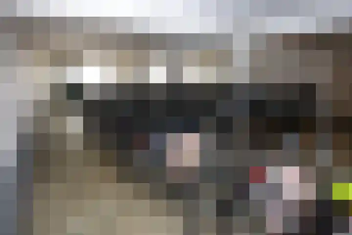 Stationsweg 92 519 Ede thumbnail 22