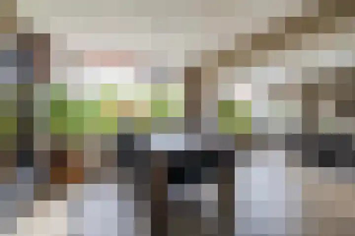 Stationsweg 92 618 Ede thumbnail 12