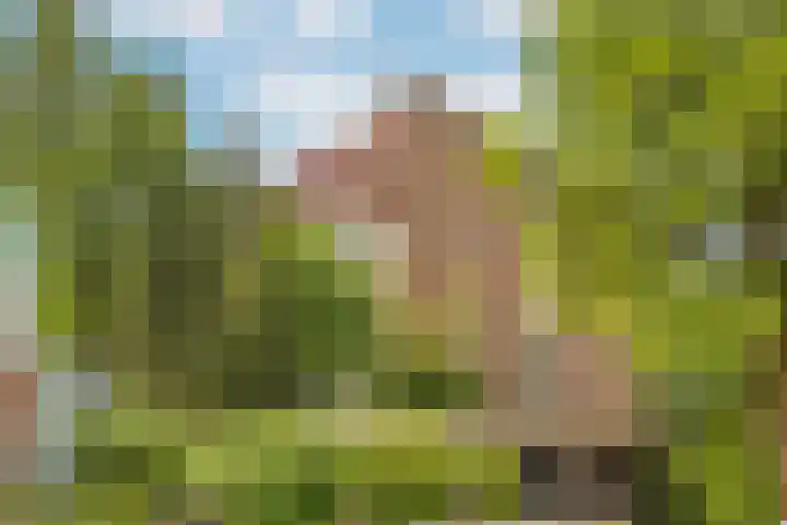 Stationsweg 92 618 Ede thumbnail 28