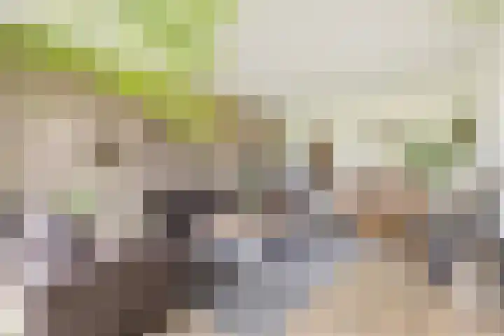 Stationsweg 92 618 Ede thumbnail 5