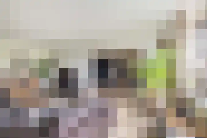 Stationsweg 92 618 Ede thumbnail 6