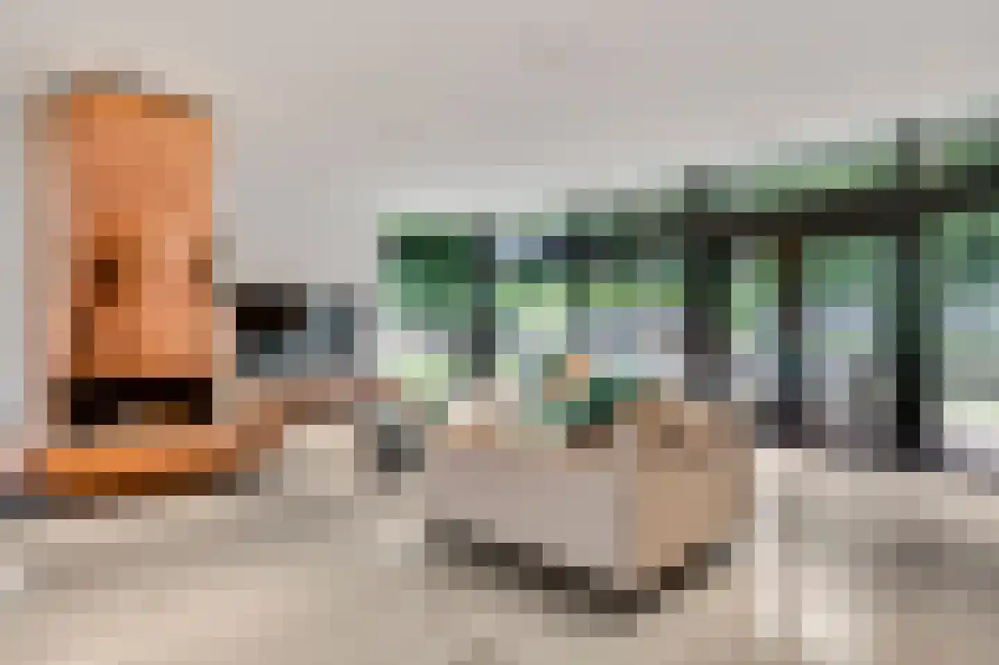 Stationsweg 92 Herkenbosch thumbnail 12
