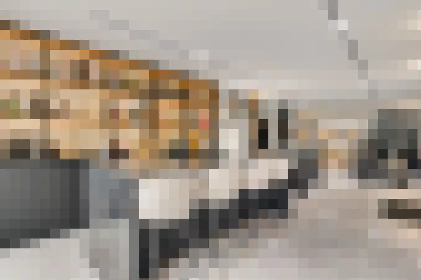Stationsweg 92 Herkenbosch thumbnail 18