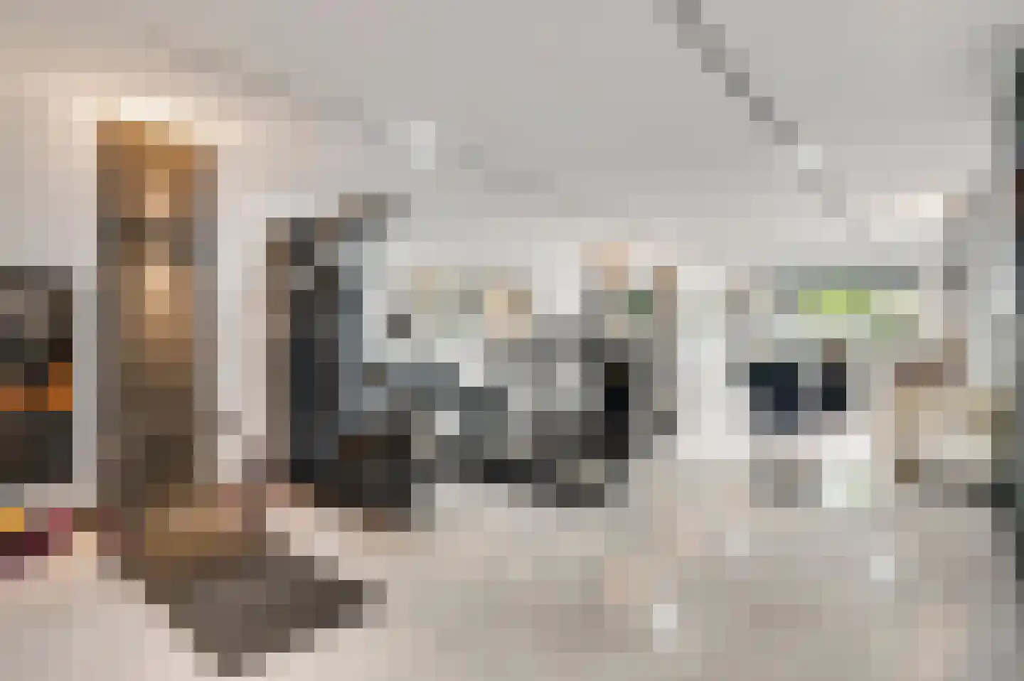 Stationsweg 92 Herkenbosch thumbnail 22