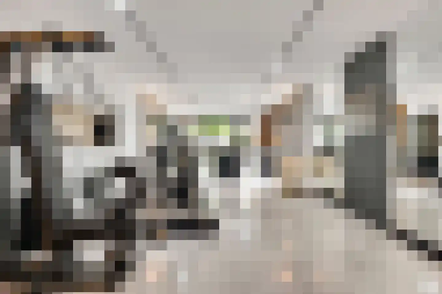 Stationsweg 92 Herkenbosch thumbnail 23