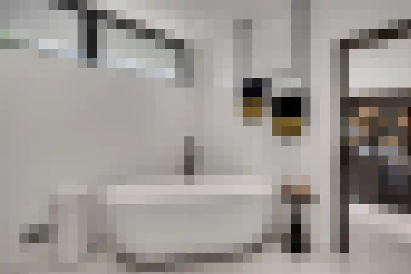 Stationsweg 92 Herkenbosch thumbnail 27