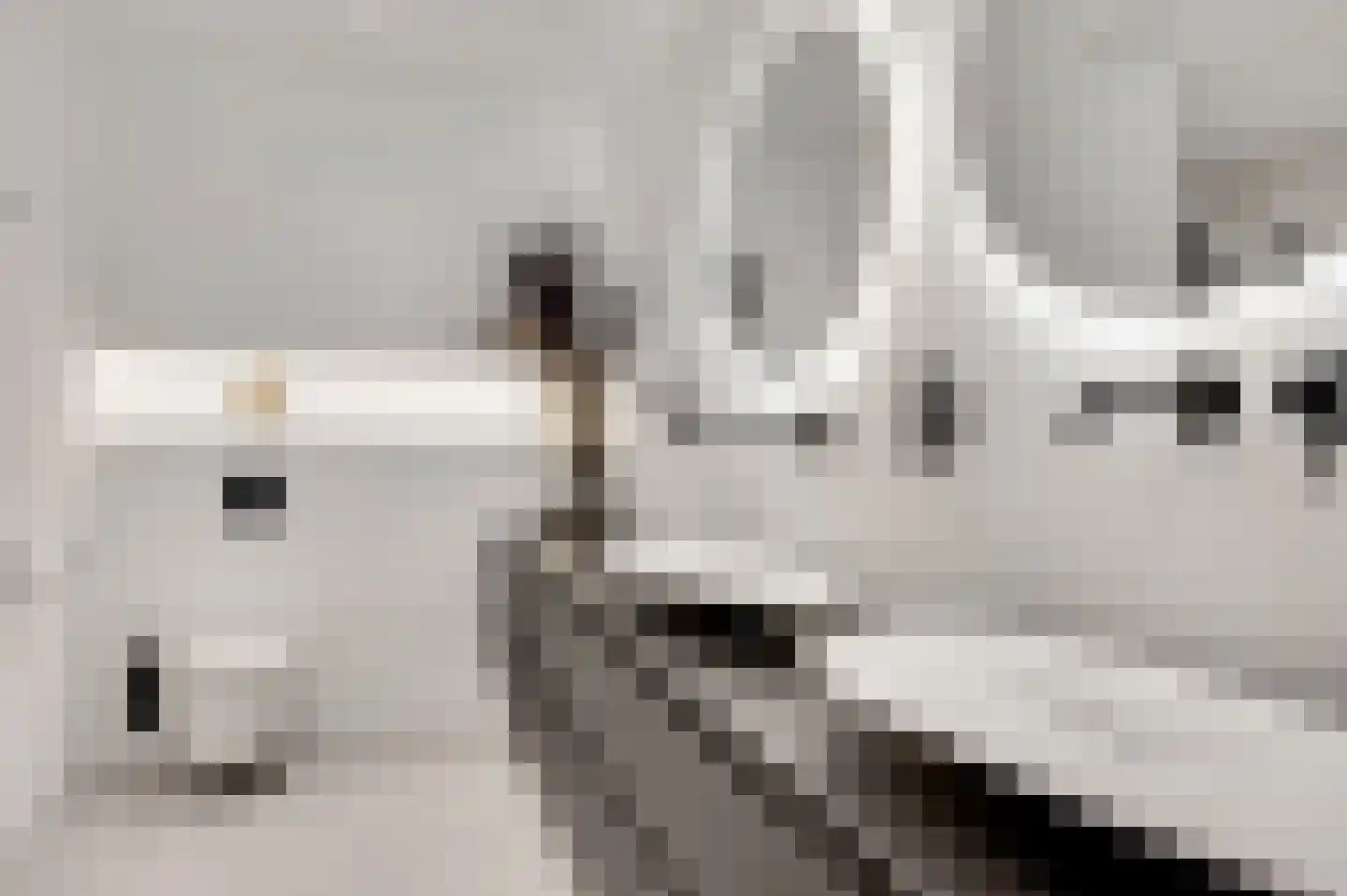 Stationsweg 92 Herkenbosch thumbnail 30