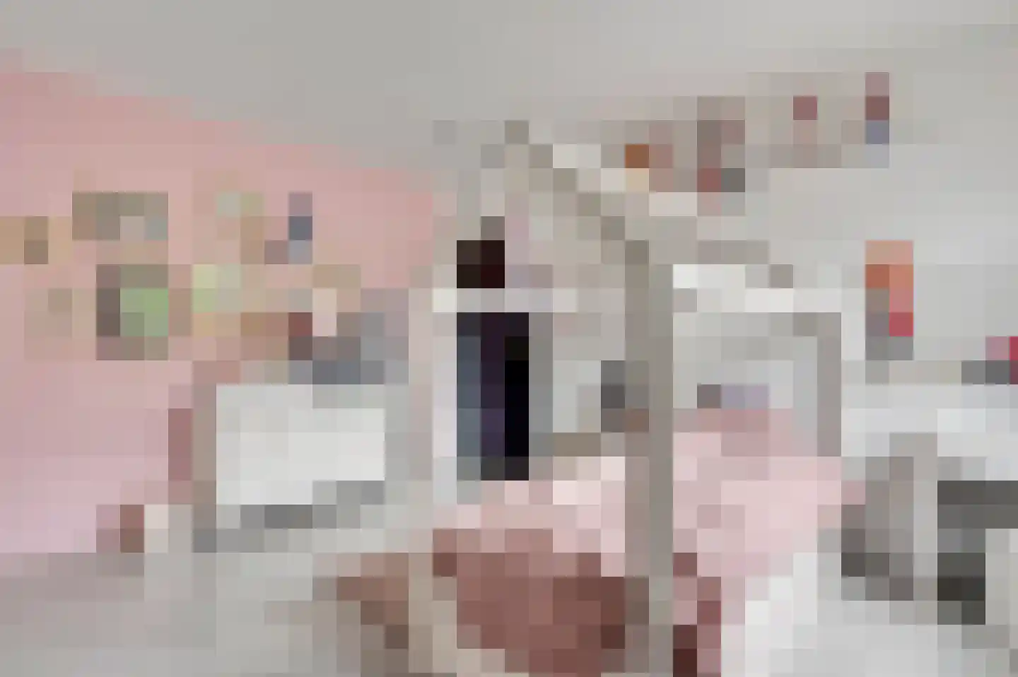Stationsweg 92 Herkenbosch thumbnail 32