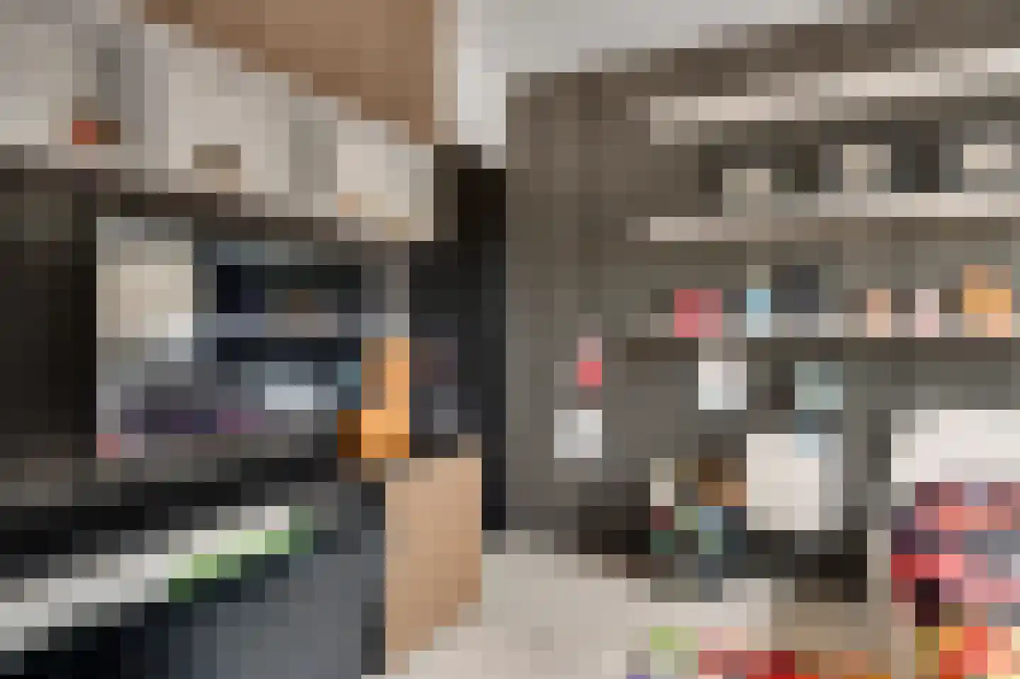 Stationsweg 92 Herkenbosch thumbnail 39