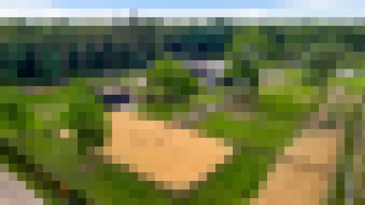 Stationsweg 92 Herkenbosch thumbnail 40