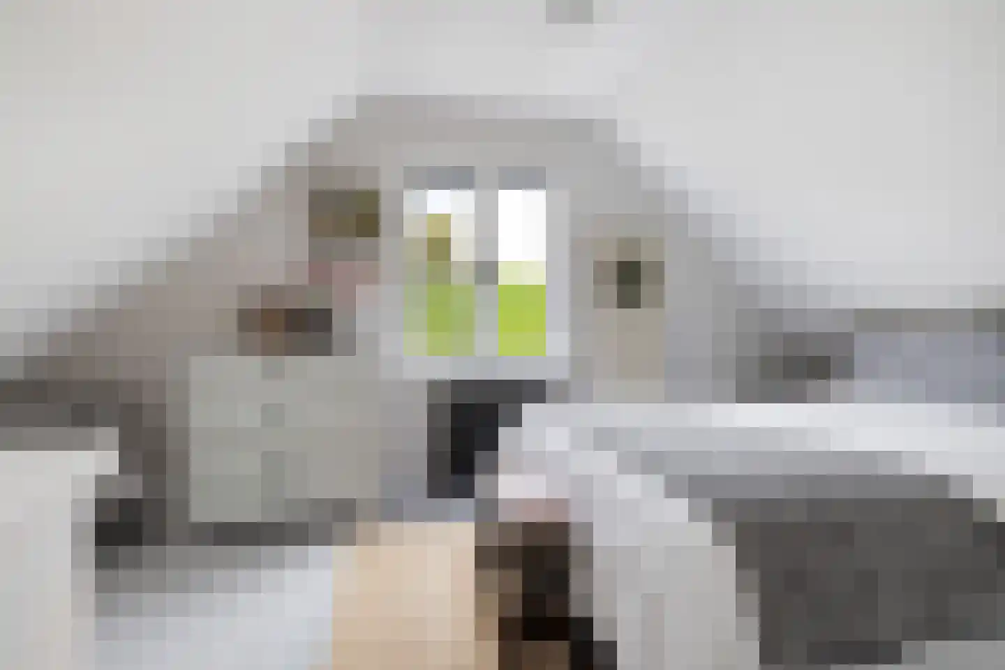 Stationsweg 96 Barendrecht thumbnail 13