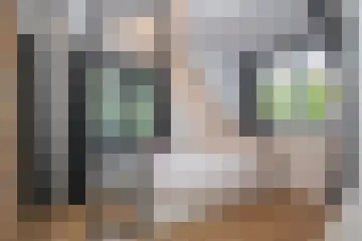 Stationsweg West 157 Woudenberg thumbnail 24