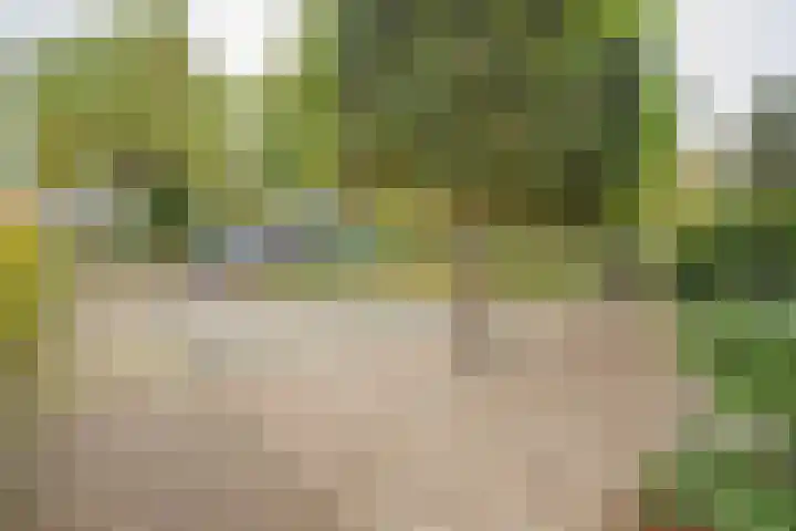 Stationsweg West 157 Woudenberg thumbnail 45