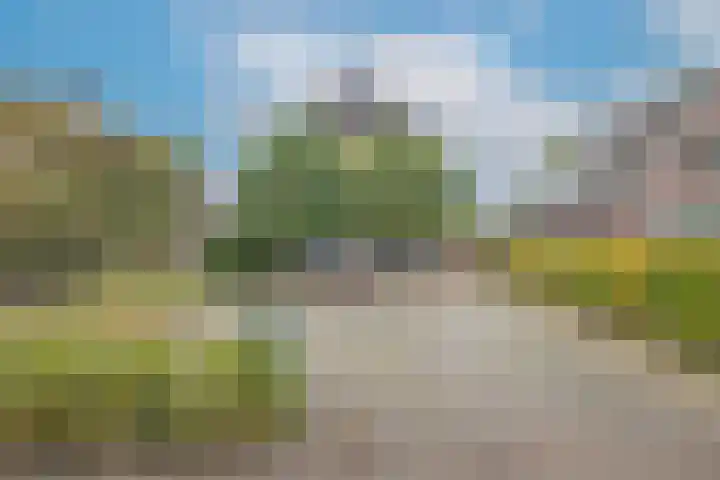 Stationsweg West 157 Woudenberg thumbnail 5