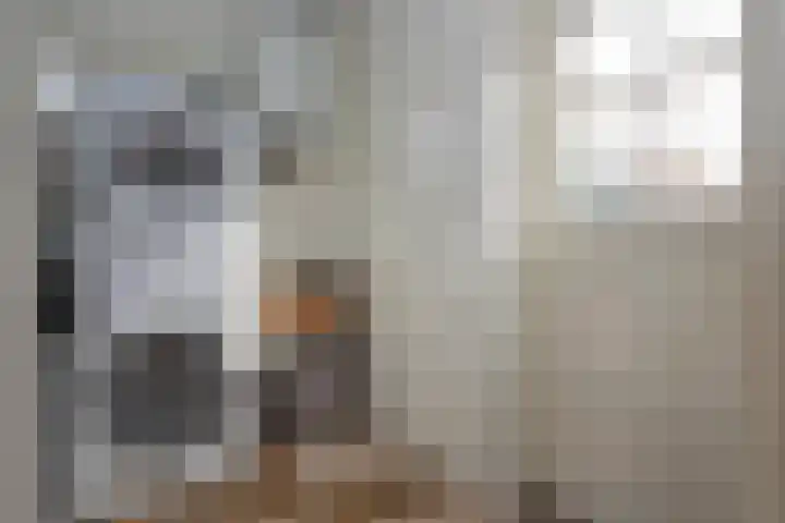 Stationsweg West 7 Woudenberg thumbnail 13