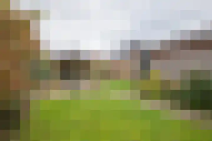 Stationsweg West 7 Woudenberg thumbnail 29