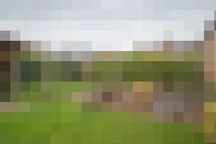 Stationsweg West 7 Woudenberg thumbnail 32