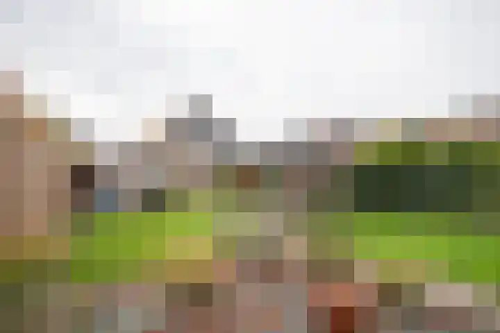 Stationsweg West 7 Woudenberg thumbnail 33