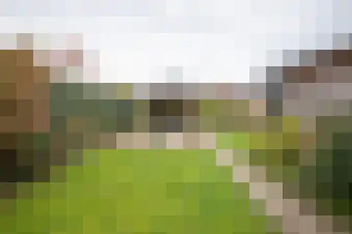 Stationsweg West 7 Woudenberg thumbnail 4