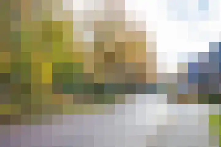 Stationsweg West 7 Woudenberg thumbnail 42