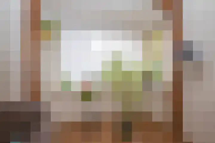 Stationsweg West 7 Woudenberg thumbnail 9