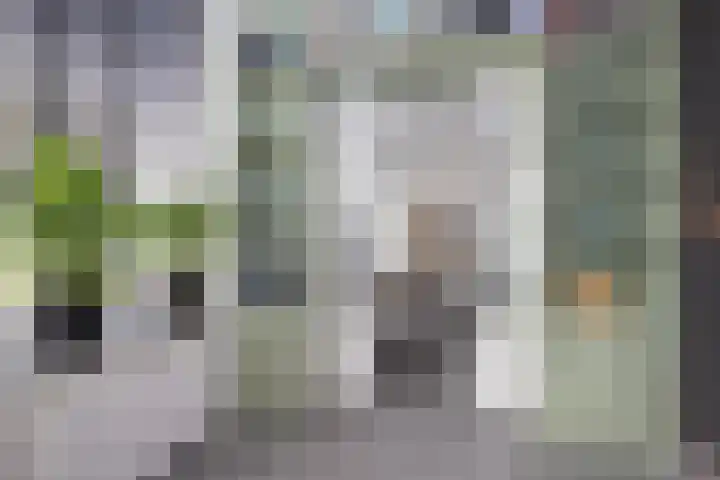 Stationsweg West 81 Woudenberg thumbnail 21