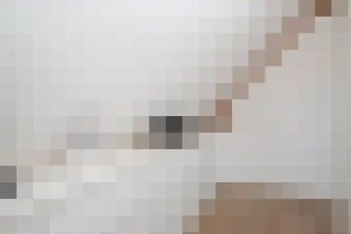 Stationsweg West 81 Woudenberg thumbnail 34