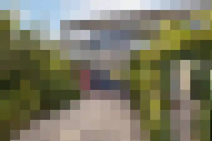 Staverse jolwerf 4 Leiden