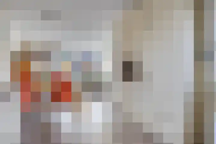 Stedewaarts 32 Assen thumbnail 12