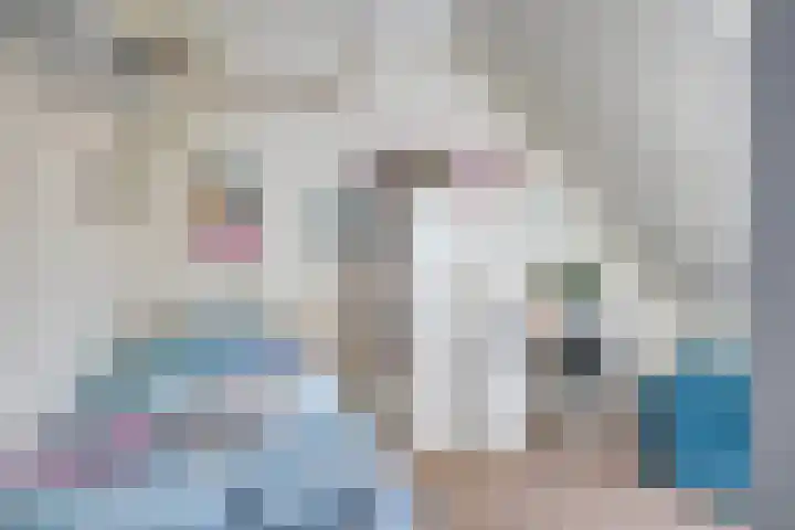 Stedewaarts 32 Assen thumbnail 22