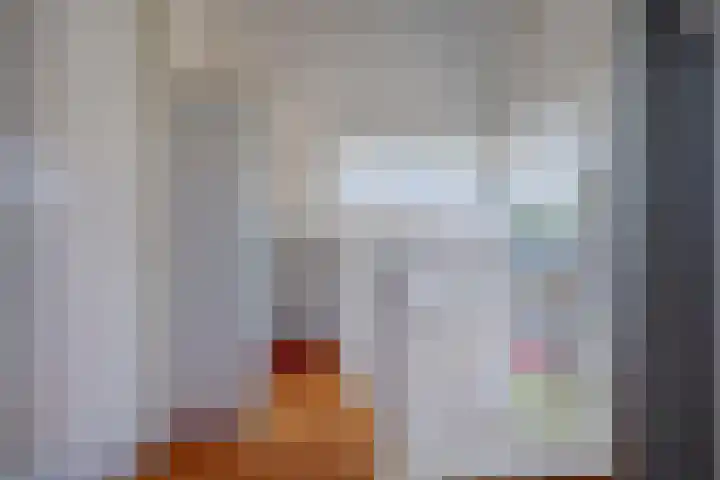 Stedewaarts 32 Assen thumbnail 25