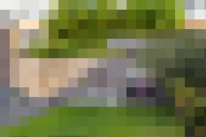 Stedewaarts 32 Assen thumbnail 30