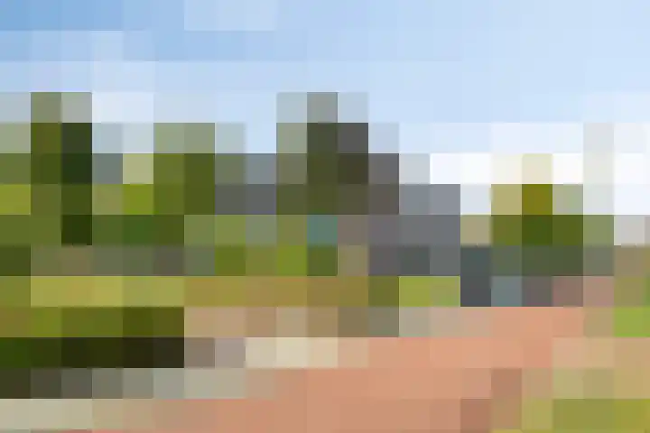 Stedewaarts 32 Assen thumbnail 38