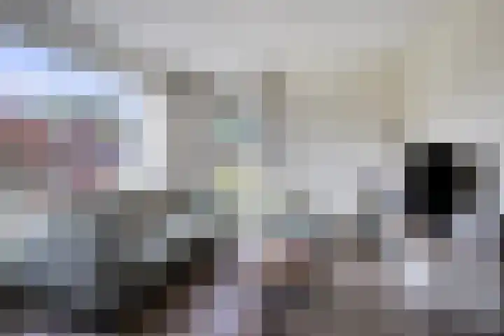 Stedewaarts 32 Assen thumbnail 6