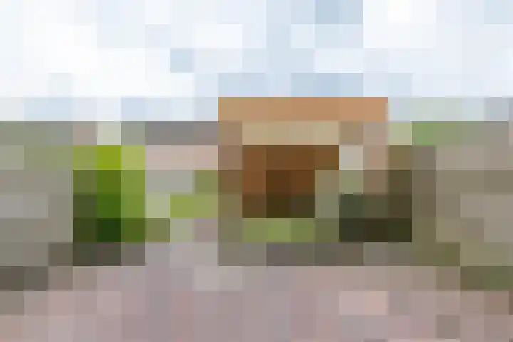 Stedewater 91 Assen thumbnail 19