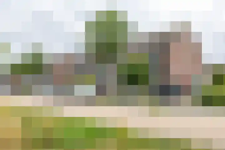Stedewater 91 Assen thumbnail 37