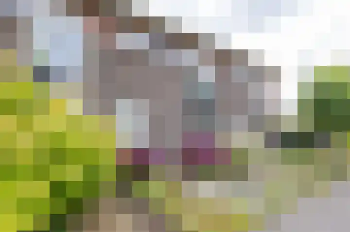 Stedewater 91 Assen thumbnail 5
