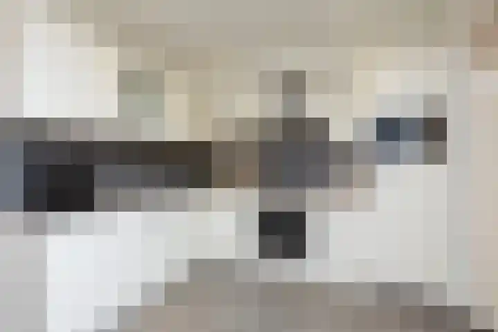 Stêdsfinne 37 Workum thumbnail 10
